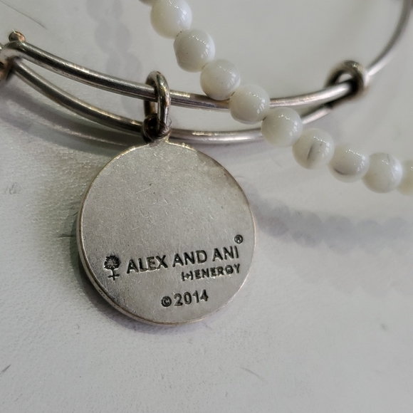 Alex and Ani Aunt Silvertone 2-bracelet Gift Set - Picture 8 of 8